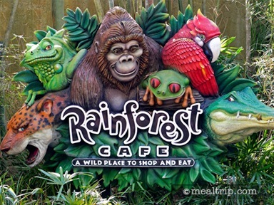 Rainforest Café at Disney's Animal Kingdom