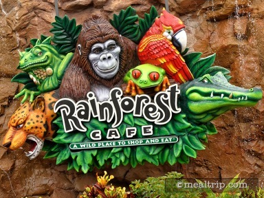 Rainforest Cafe® at Disney Springs Marketplace